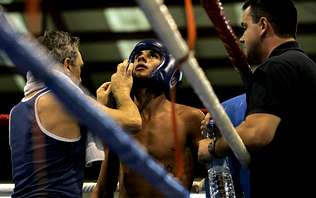 boxo galicia