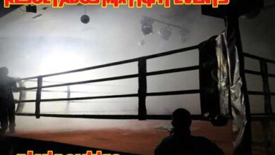 Photo of Resultados Mix Fight Events -Valencia- Alaquas