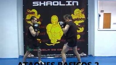 Photo of Video Tecnicas Básicas de Boxeo 2