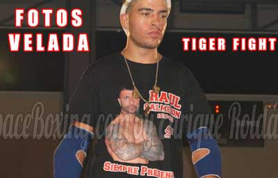 FOTOS-TIGUER-FIGHT