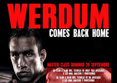 cabecera-Werdum-master-clas