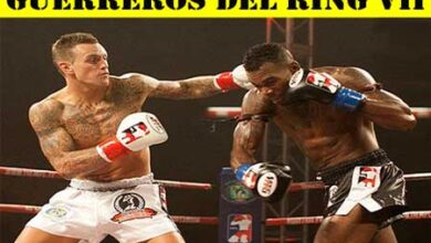 Photo of Encuentro Guerreros del RIng VII 01/02/14