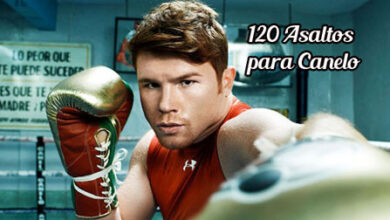 Photo of Canelo entrenará 120 asaltos para estar listo ante Alfredo Angulo