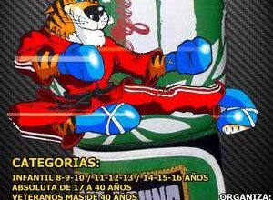 Photo of I Open Ciudad de Salamanca de Kickboxing 14/06/14