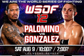 Photo of WSOF 12: Palomino vs. Gonzalez- Resultados