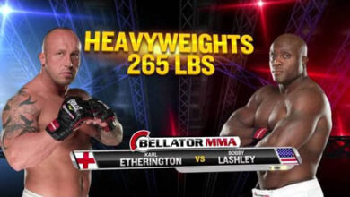 Photo of Bellator 130 MMA Highlights -Video