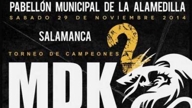 Photo of X Gala del Kickboxing Salmantino 29/11/14