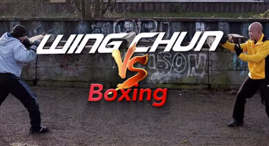 Photo of Wing Chun VS Boxing Video