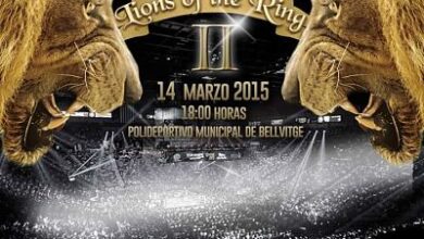Photo of Lions of the ring 2, Barcelona
