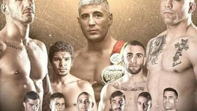 Photo of International Kombat Marbella
