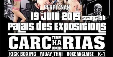 Photo of Muay thai en Perpiñan (Francia)
