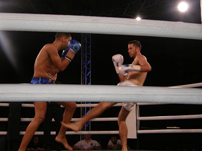 P1010058_opt