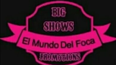Photo of «El mundo del foca» canal de Youtube