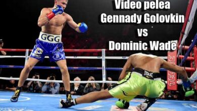 Photo of Video pelea Gennady Golovkin vs Dominic Wade Full HD