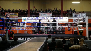 Photo of RESULTADOS LIONS FIGHTERS 7