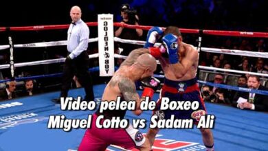 Photo of Video pelea Boxeo Miguel Cotto vs Sadam Ali