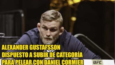 Photo of Alexander Gustafsson dispuesto a subir de categoría para pelear con Daniel Cormier