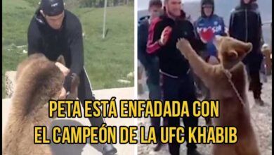 Photo of La organización de derechos de los animales PETA, molesta con Khabib Nurmagomedov